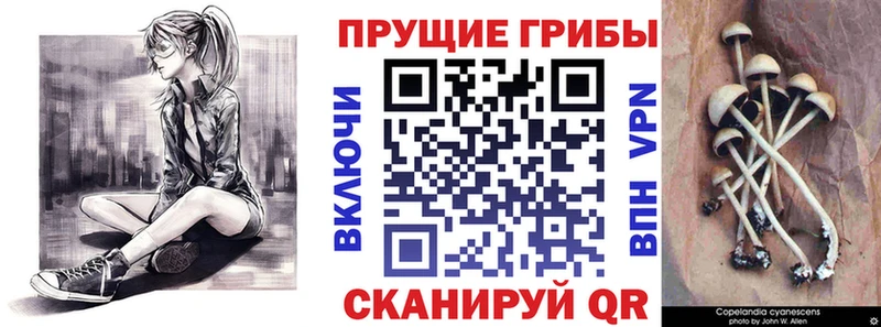 наркота  Спас-Клепики  Галлюциногенные грибы мухоморы 