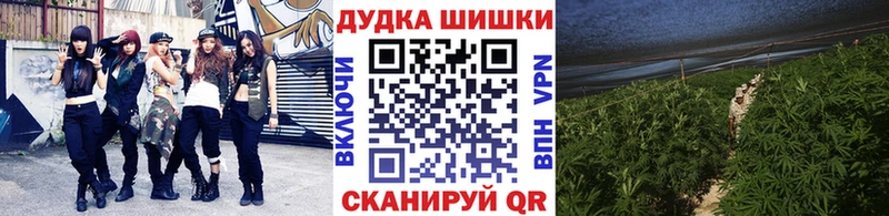 наркотики  Спас-Клепики  Бошки марихуана конопля 